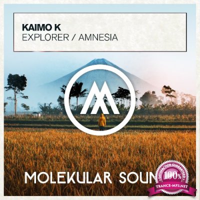 Kaimo K - Explorer / Amnesia (2022)