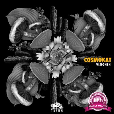 Cosmokat ft Marvin Jam - Visionen (2022)