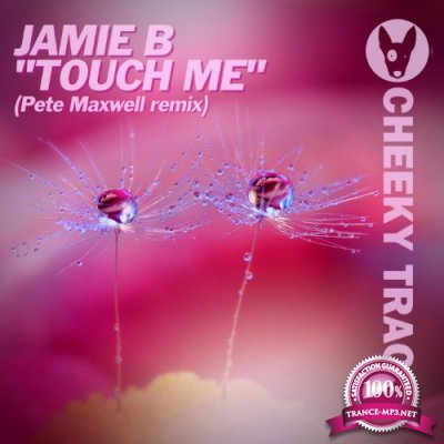 Jamie B - Touch Me (Pete Maxwell Remix) (2022)