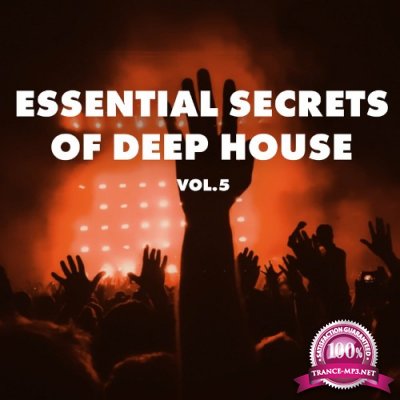 Essential Secrets of Deep House, Vol 5 (2022)