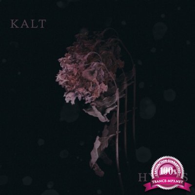 Kalt - Hybris (2022)