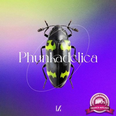 Phunkadelica - By The Power Of Grayskull (2022)