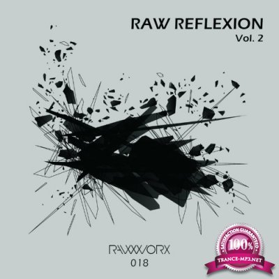 RAW Reflexion Vol. 2 (2022)