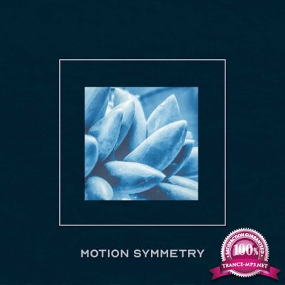 Motion Symmetry - Strobe Bloom (2022)