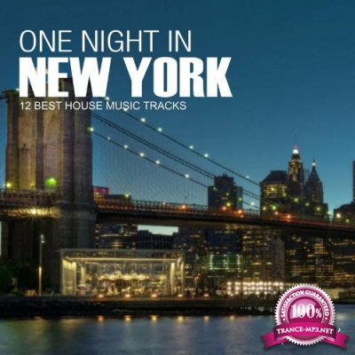 One Night In New York (2022)