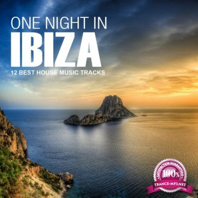 One Night in Ibiza (2022)