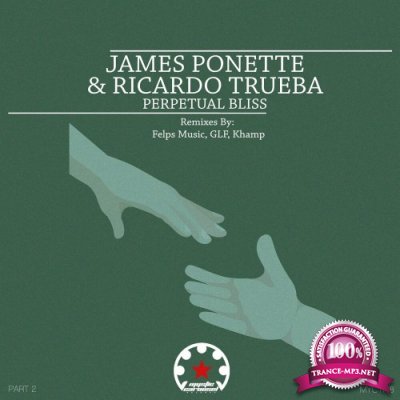 James Ponette & Ricardo Trueba - Perpetual Bliss, Pt. 2 (2022)