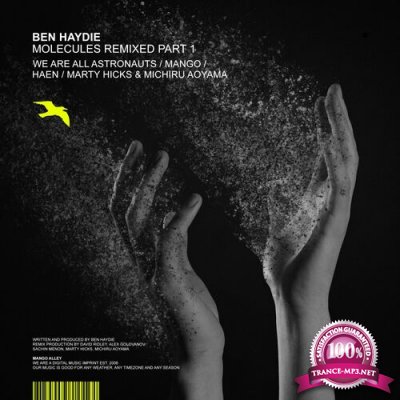 Ben Haydie - Molecules Remixed, Pt. 1 (2022)
