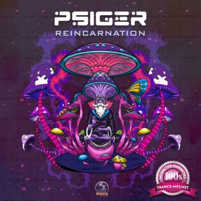 Psiger & Cosmic Sidekick - Reincarnation (2022)