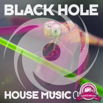Black Hole House Music 08-22 (2022)