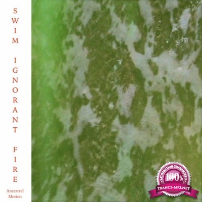 Swim Ignorant Fire - Ancestral Motion (2022)