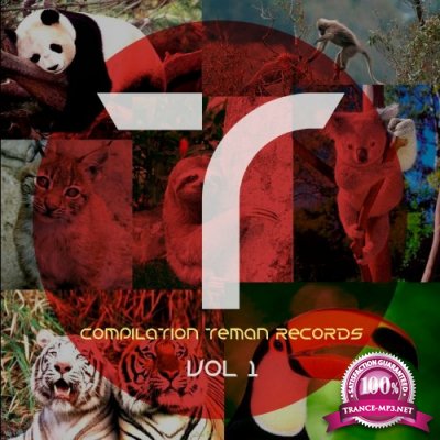 Compilation Teman Records Vol 1 (2022)