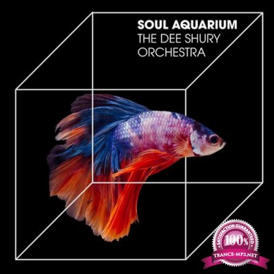 The Dee Schury Orchestra - The Soul Aquarium (2022)