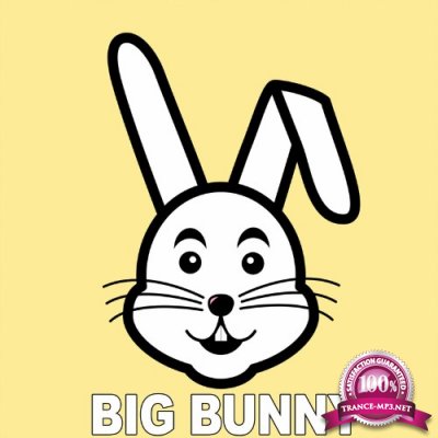 Big Bunny - Parallel Sound (2022)