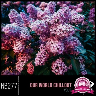Our World Chillout, Vol. 9 (2022)