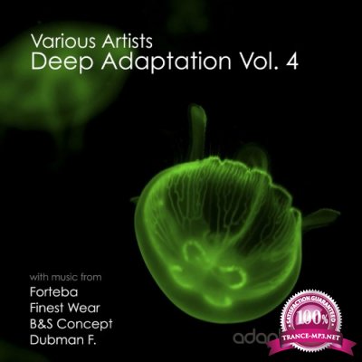Deep Adaptation, Vol. 4 (2022)