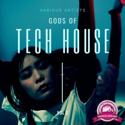 Gods of Tech House, Vol. 2 (2022)
