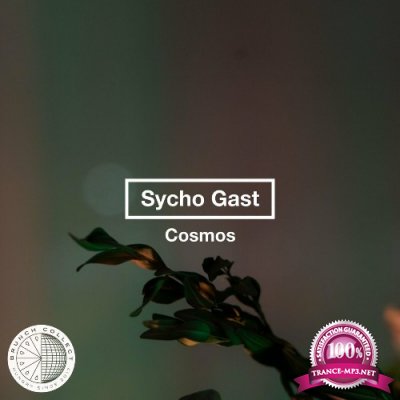 Sycho Gast - Cosmos (2022)