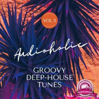 Audioholic (Groovy Deep-House Tunes), Vol. 3 (2022)