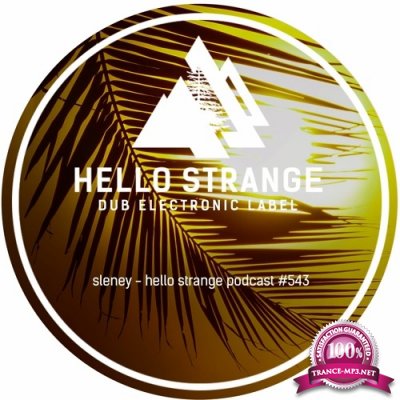Timo Reitzklang - Hello Strange Podcast Episode #545 (2022-09-04)