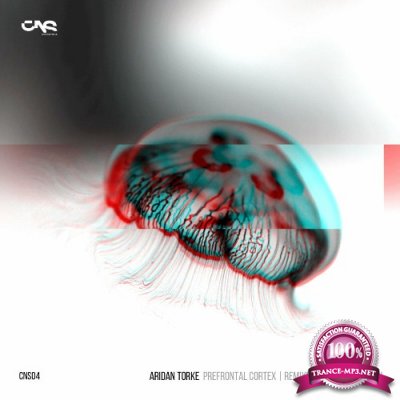 Aridan Torke - Prefrontal_Cortex EP (2022)