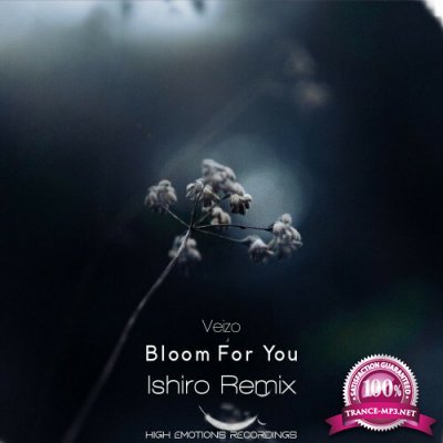Veizo - Bloom for You Remixed (2022)