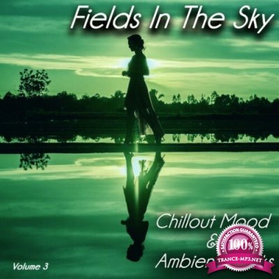 Fields in the Sky, Vol. 3 (Chillout Mood & Ambient Tracks) (2022)