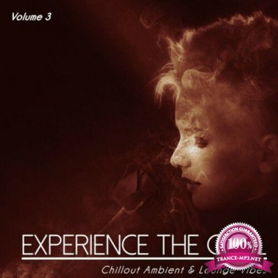 Experience the Chill, Vol. 3 (Chillout Ambient & Lounge Vibes) (2022)