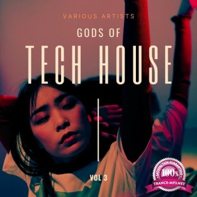 Gods of Tech House, Vol. 3 (2022)