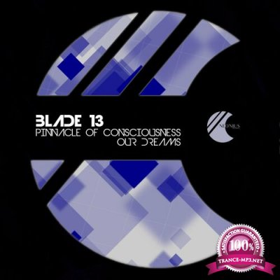 blade13 - Pinnacle of Consciousness (2022)