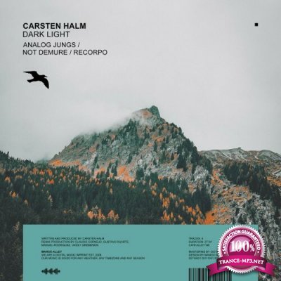 Carsten Halm - Dark Light (2022)