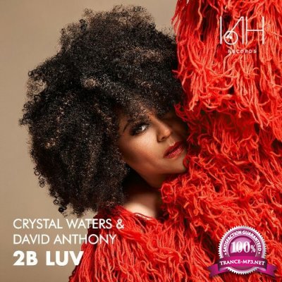 Crystal Waters & David Anthony - 2B Luv (2022)