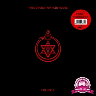 Thee Church Ov Acid House Volume 2 (2022)