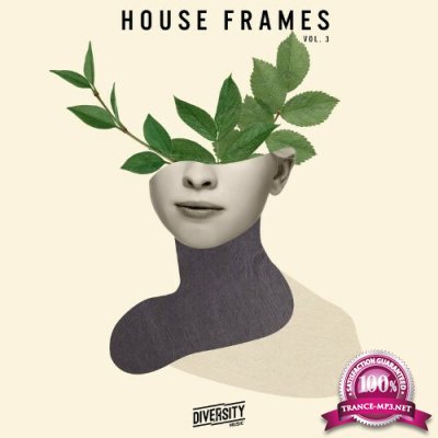 House Frames, Vol. 3 (2022)