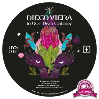 Diego Viera - In Our Own Galaxy (2022)