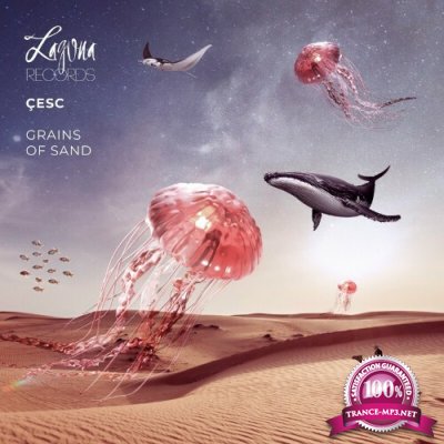 Cesc - Grains of Sand (2022)