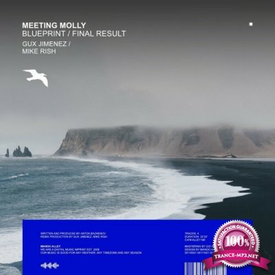Meeting Molly - Blueprint / Final Result (2022)