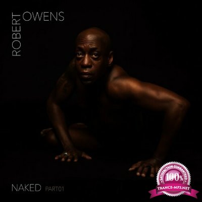 Robert Owens feat Roberto & Jamie Anderson - Naked, Pt. 1 (2022)