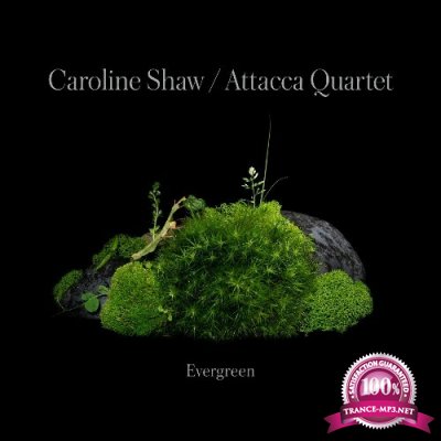 Caroline Shaw and Attacca Quartet - Evergreen (2022)