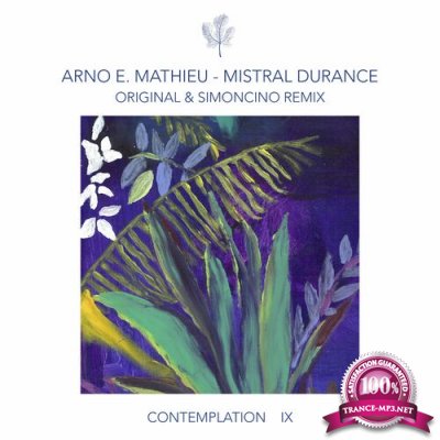 Arno E. Mathieu - Contemplation IX - Mistral Durance (2022)