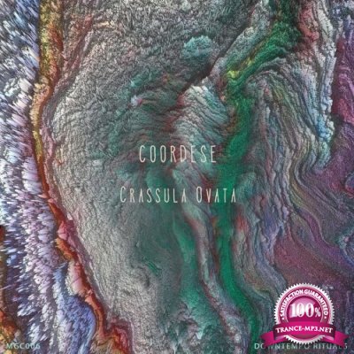 coordese - Crassula Ovata (2022)