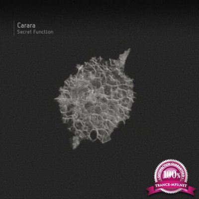 Carara - Secret Function (2022)