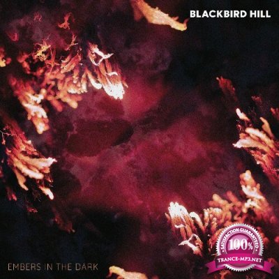 Blackbird Hill - Embers In The Dark (2022)