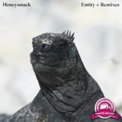 Honeysmack - Entity (Remixes) (2022)