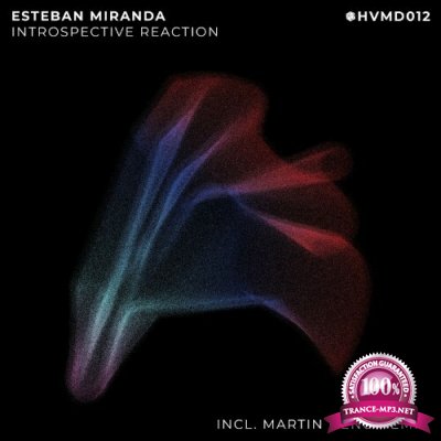 Esteban Miranda - Introspective Reaction (2022)