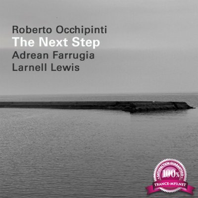 Roberto Occhipinti x Adrean Farrugia x Larnell Lewis - The Next Step (2022)