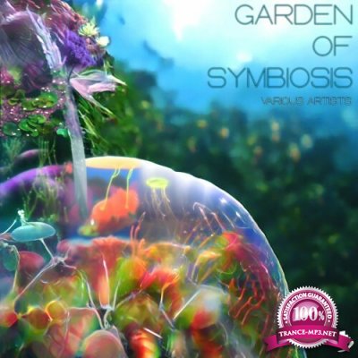 Garden of Symbiosis (2022)