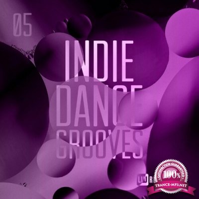 Indie Dance Grooves, Vol. 05 (2022)
