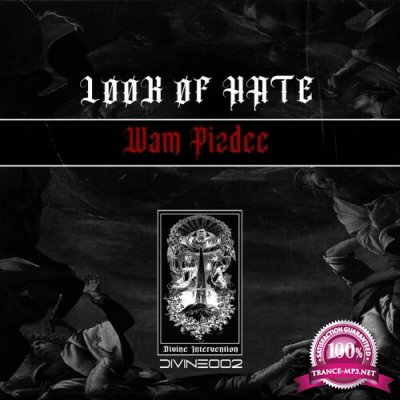 LOOK OF HATE - Wam Pizdec (2022)