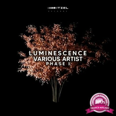 LUMINESCENCE Various Artist Phase I (2022)